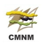 jobs in CMNM Mining Group Sdn. Bhd.