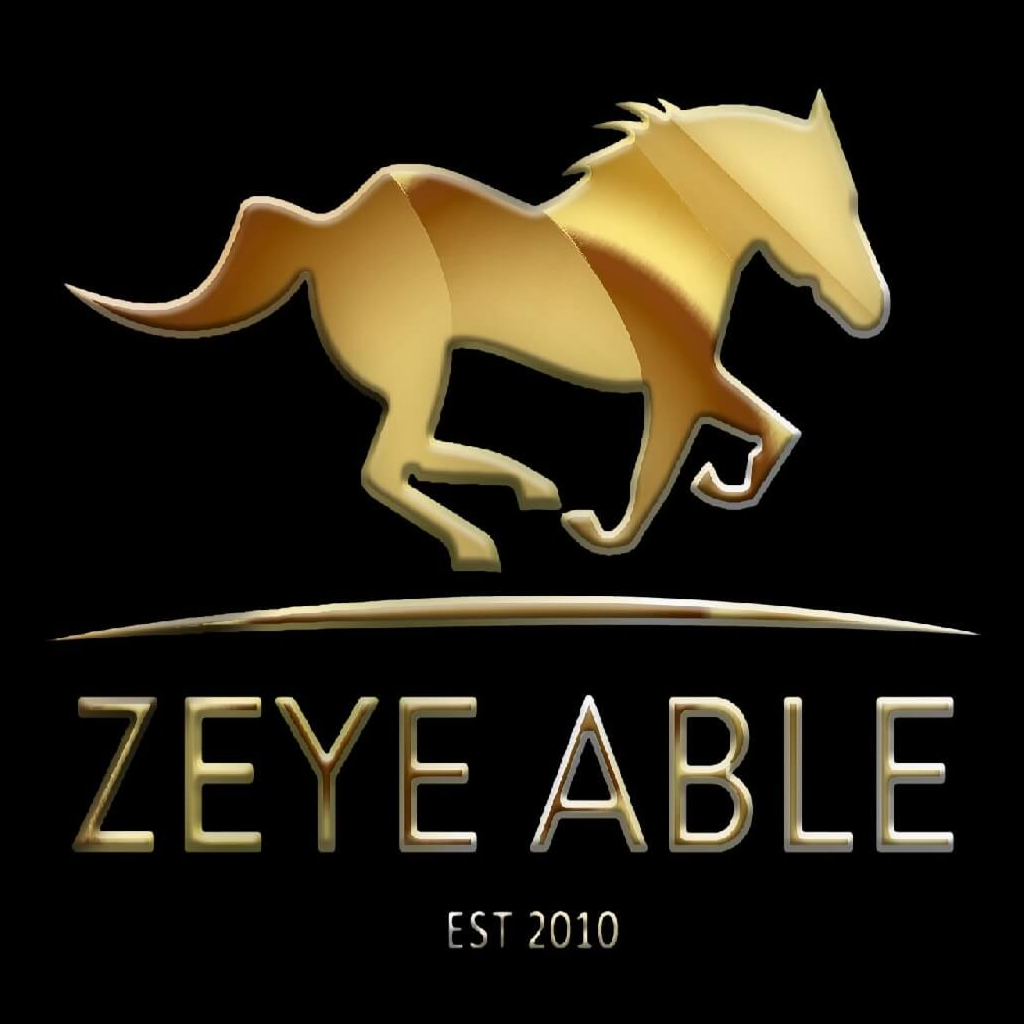 jobs in Zeye Able Sdn Bhd