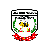 Littlegenius International Sdn Bhd