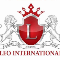 jobs in Leo International