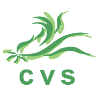 CVS Veggies