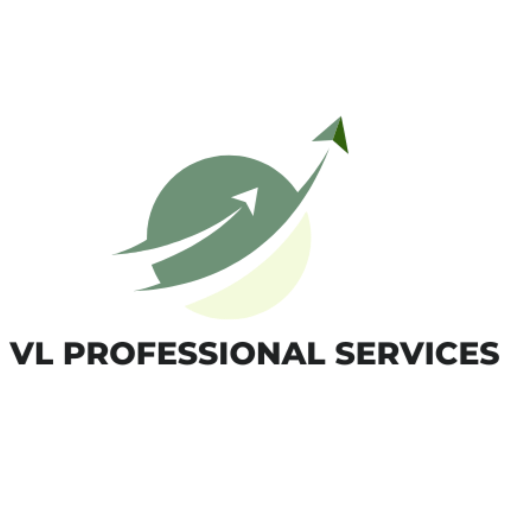 Vl Professional Services Sdn Bhd