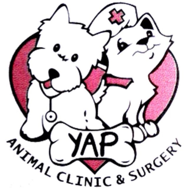 Yap Animal Clinic And Surgery