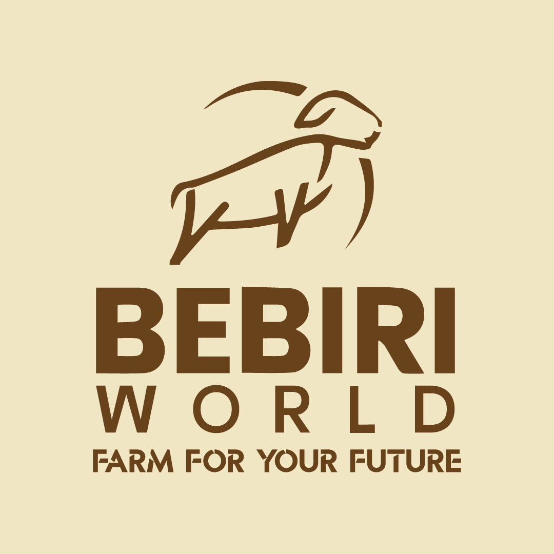 Bebiri Hostel Empire (M) Sdn. Bhd.