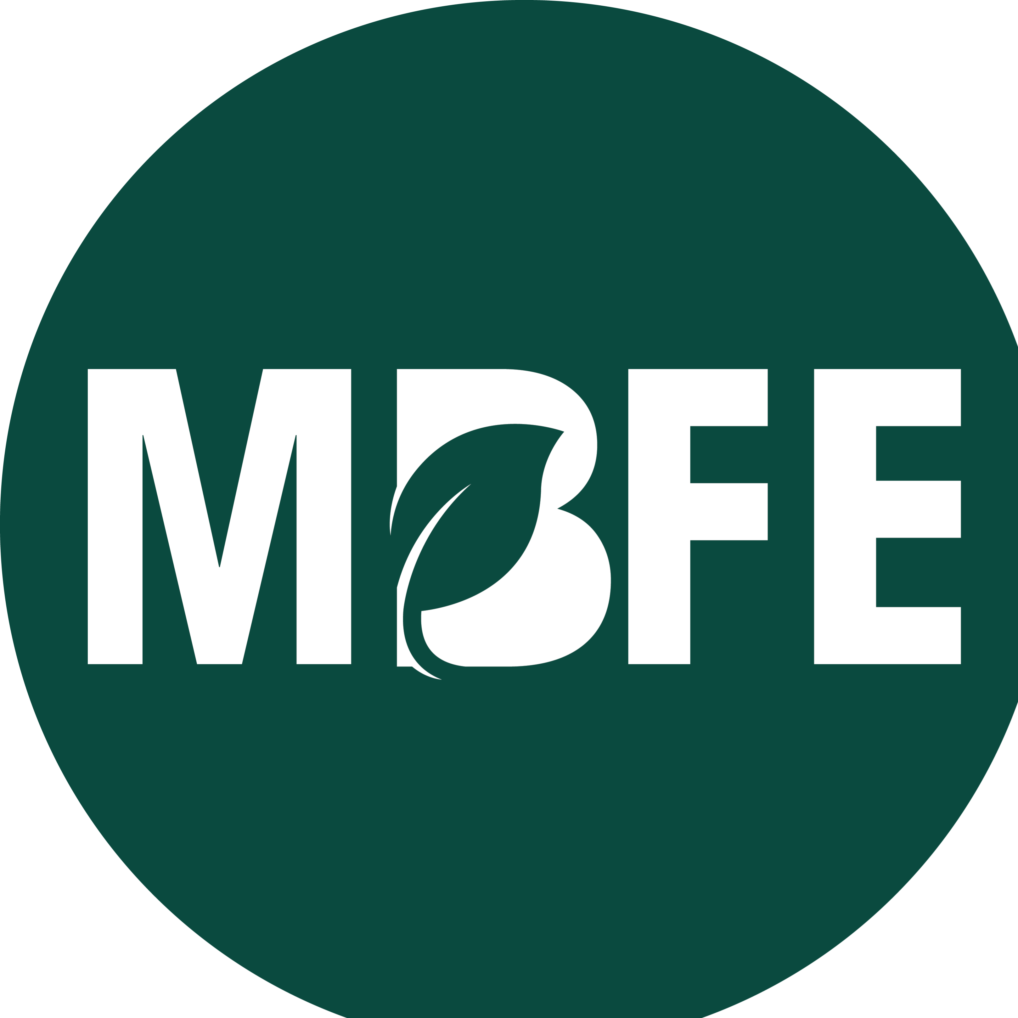 jobs in MBFE Sdn Bhd