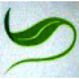 PPS-JMC