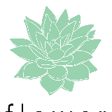 Flower Frenzie