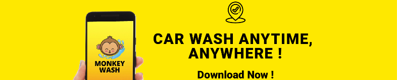 jobs in Monkey Wash Sdn Bhd