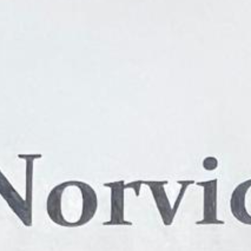 Norvic Tax Services Sdn. Bhd.