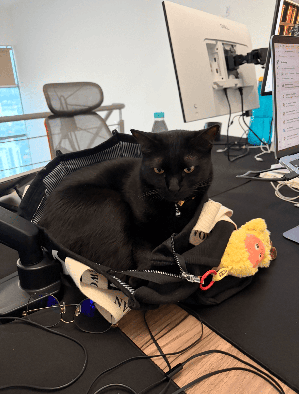 Employee Story Photo