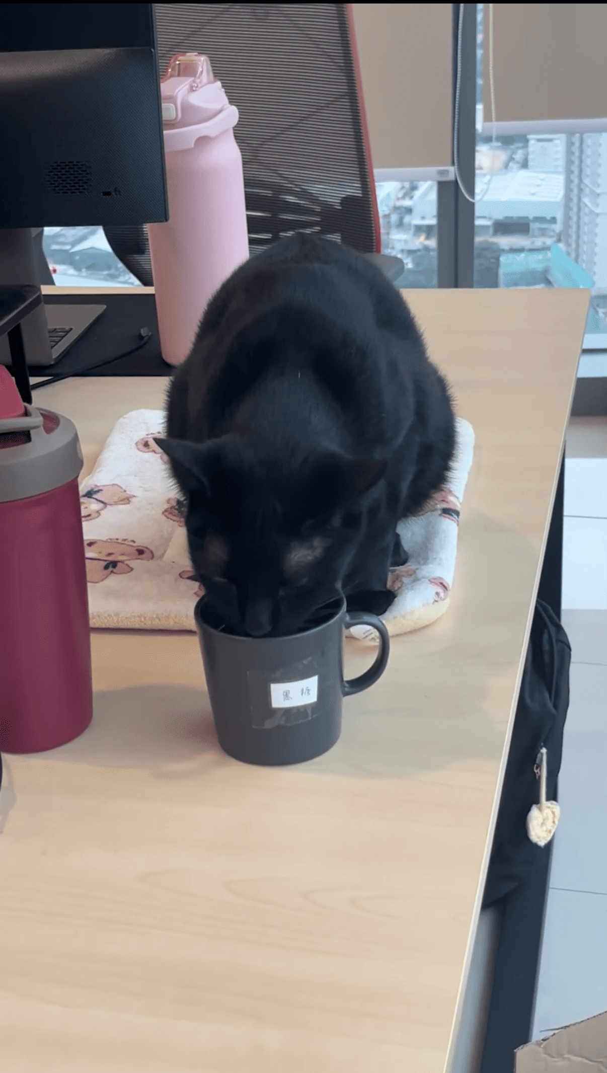 Employee Story Photo