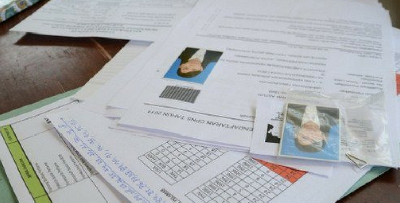 2 Contoh Surat Permohonan Kerja untuk Fresh Grad dan Mid Level