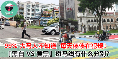 原来不同颜色的斑马线有不同的含义！错误使用小心被开 Saman！