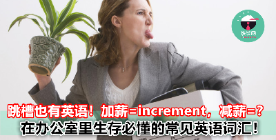 原来跳槽也有英语？加薪叫 Increment，减薪叫什么？在 Office 里面生存一定要懂这些词！