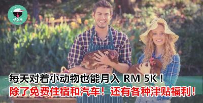【Penang Lang 好康！】除了月入 RM 5K 还 Free 住宿、汽车、汽油！比 Office 上班族的福利好很多！