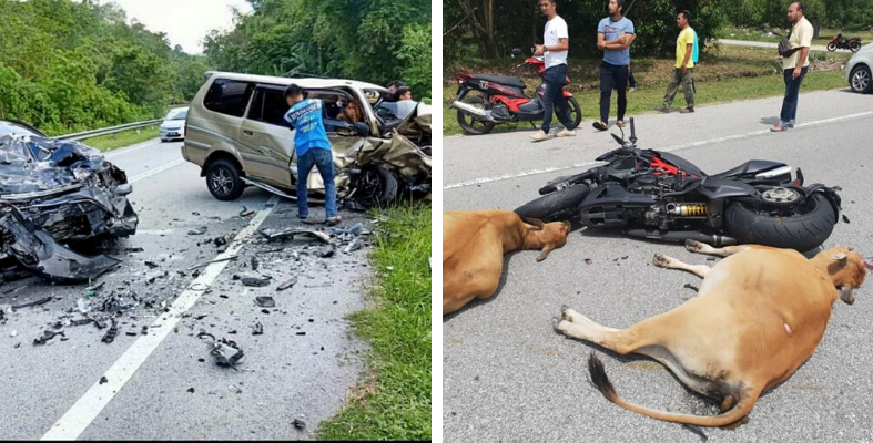 Dilanggar Kenderaan Tiada Insurans? Ini Cara 'Claim Insurans' Guna MIB, Jangan Abaikan!