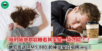 史上最梦幻的工作！职责是 100 天内睡足 9 个小时！穿着是你最爱的睡衣！