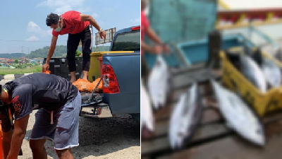 Pemain Bola Terkenal Di Malaysia Ini, Cari Sumber Pendapatan Dengan Menjual Ikan Ketika PKP!