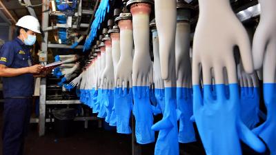 Mencatat Keuntungan Bersih Dari Tahun Ke Tahun, KWSP Telah Beli 13.2 Juta Saham Top Glove