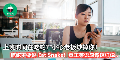 【同事在工作时吃蛇，地道英语应该怎么说？】4 个职场实用英语，说出来老板对你刮目相看！