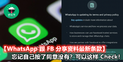 【自己一时手快，不知道是否同意了 WhatsApp 最新条款？】只要 4 个步骤就能 Check 到！