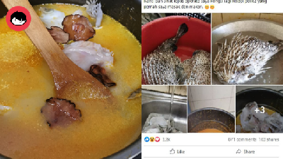 Viral Di Facebook, Lelaki Ini Kongsi "Resipi" Ikan Buntal Masak Gulai Asam