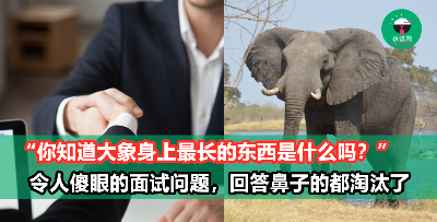 大象身上最长的东西不是鼻子，而是xx ！最奇葩的面试问题，回答鼻子的都被面试官淘汰了！