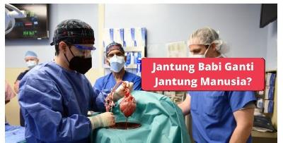 Jantung BABI Pertama Dalam Manusia, Pakar Bedah Ni Buktikan Boleh! Tapi Ini Nasihat Mufti Kalau Kita…