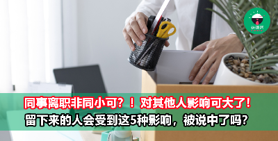 原来同事离职会带来这5种影响！要稳住心态不容易了