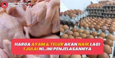 Harga Telur Dan Ayam Akan Naik Lagi 1 Julai Ini..Ini Korang Patut Tahu