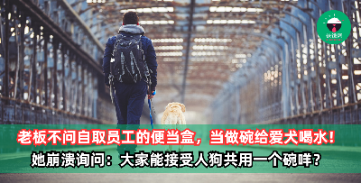 老板不问自取员工的便当盒，当做碗给爱犬喝水！她崩溃：大家能接受人狗共用一个碗咩？