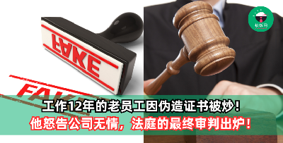 工作12年的老员工因伪造证书被炒！他怒告公司无情，法庭的最终审判出炉！