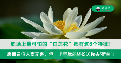 有一种人表面看似人畜无害，但一出手就能轻松送你去‘荷兰’！职场上最可怕的“白莲花”都有这6个特征，大家必须得提高警惕！