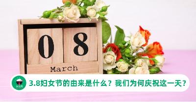 2026国际妇女节：由来和意义