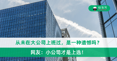 从未在大公司上班过，是一种遗憾吗？网友：小公司才是上选！