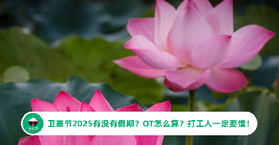 卫塞节2025有没有假期？OT怎么算？打工人一定要懂！